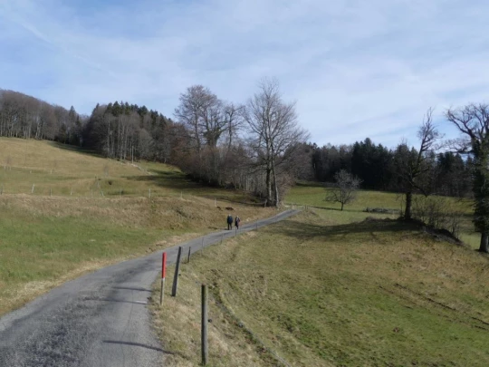 moreillon-paully-mont-pelerin-190