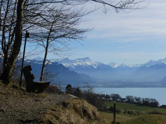 moreillon-paully-mont-pelerin-192