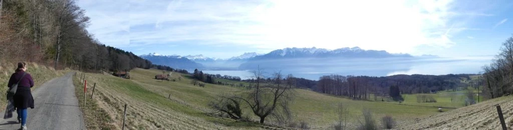 moreillon-paully-mont-pelerin-193