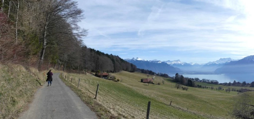 moreillon-paully-mont-pelerin-194