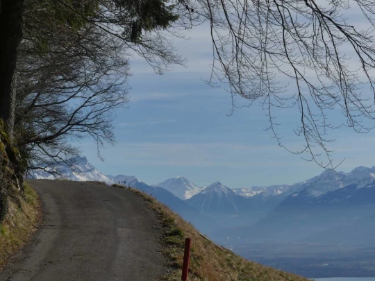 moreillon-paully-mont-pelerin-197