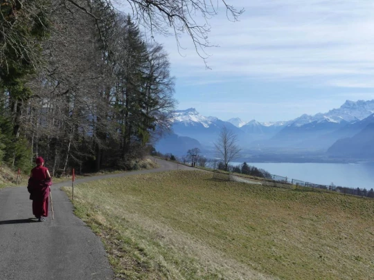 moreillon-paully-mont-pelerin-198