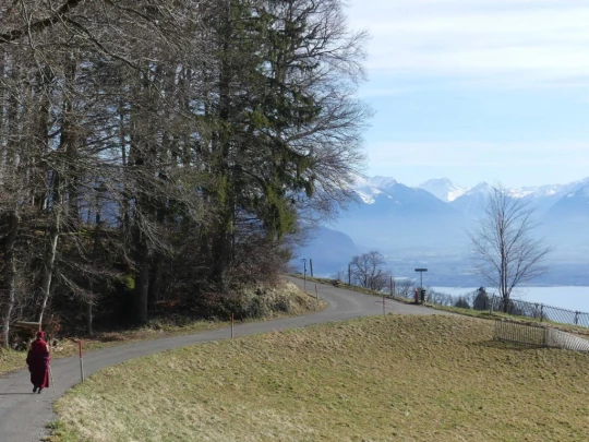 moreillon-paully-mont-pelerin-199