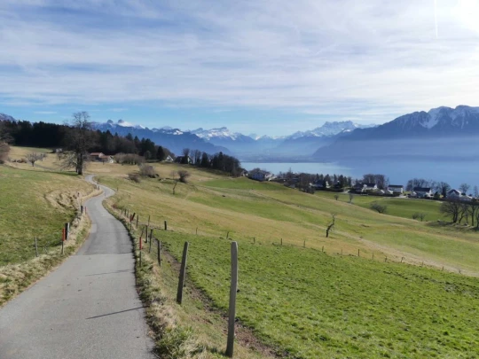 moreillon-paully-mont-pelerin-200