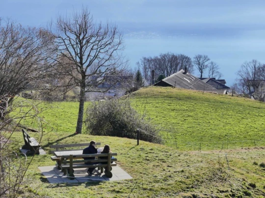 moreillon-paully-mont-pelerin-202