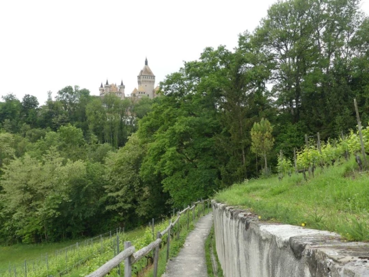 morges-vufflens-morges-138