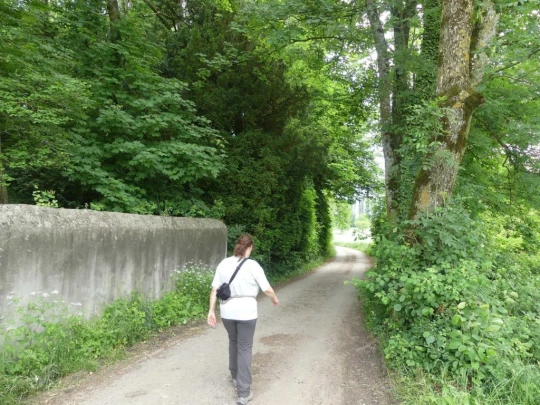 morges-vufflens-morges-165