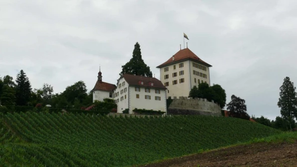 Müswangen Sulzerwald Sonneri Hochdorf Horben Lieli château de Heidegg Gelfingen