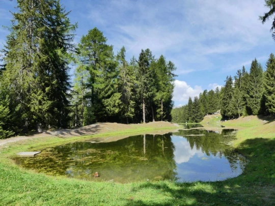 nax-lac-de-vernamiege-nax-143