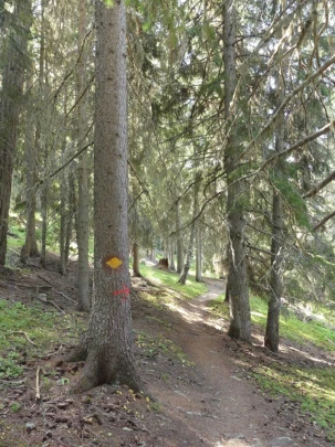 nax-lac-de-vernamiege-nax-151