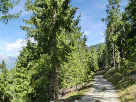 nax-lac-de-vernamiege-nax-164