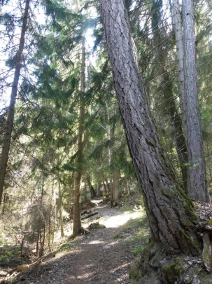 nendaz-fey-gare-chamoson-117