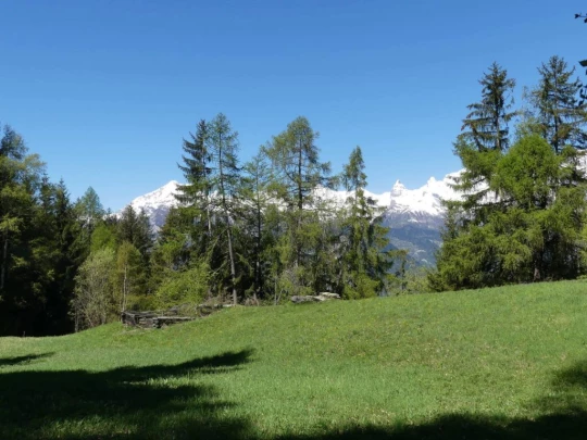 nendaz-fey-gare-chamoson-120