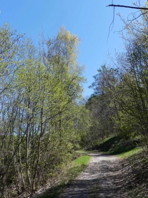 nendaz-fey-gare-chamoson-122