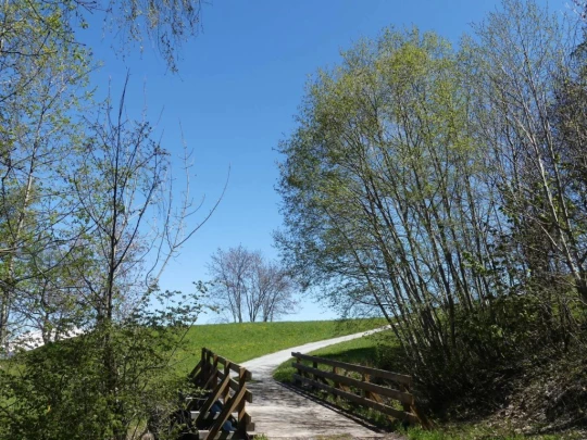 nendaz-fey-gare-chamoson-123