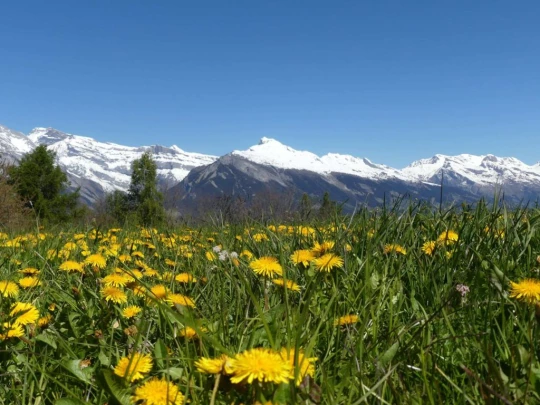 nendaz-fey-gare-chamoson-127