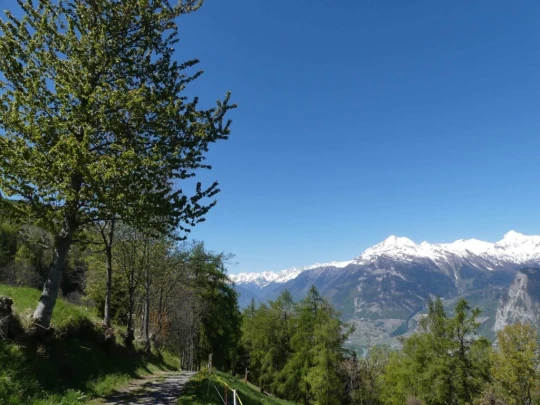 nendaz-fey-gare-chamoson-130