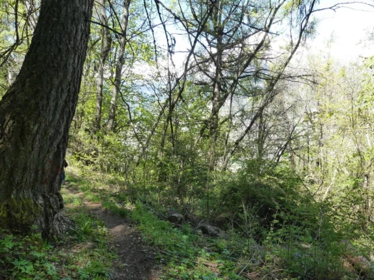 nendaz-fey-gare-chamoson-137