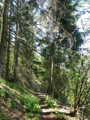 nendaz-fey-gare-chamoson-140