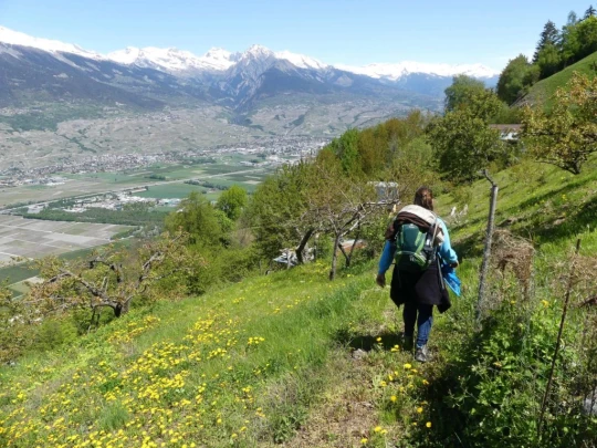 nendaz-fey-gare-chamoson-149