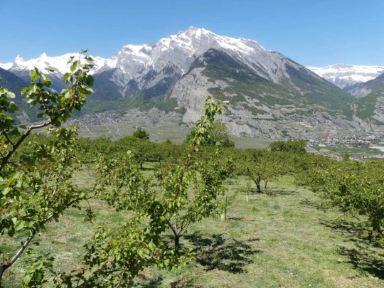 nendaz-fey-gare-chamoson-183