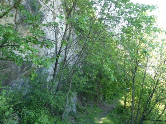 nendaz-fey-gare-chamoson-193