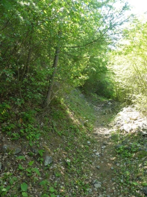 nendaz-fey-gare-chamoson-198