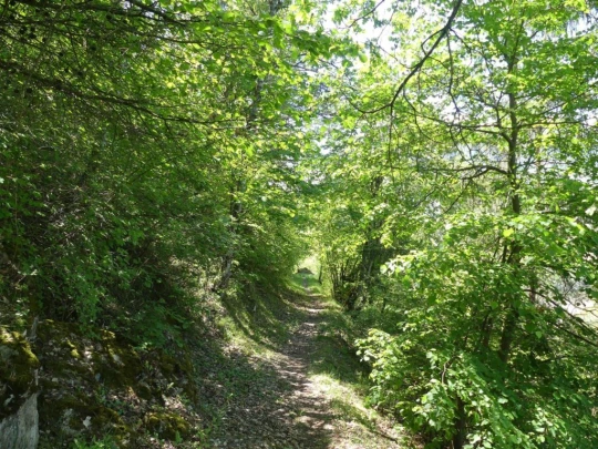 nendaz-fey-gare-chamoson-199