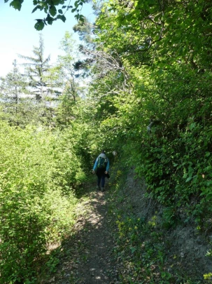 nendaz-fey-gare-chamoson-206