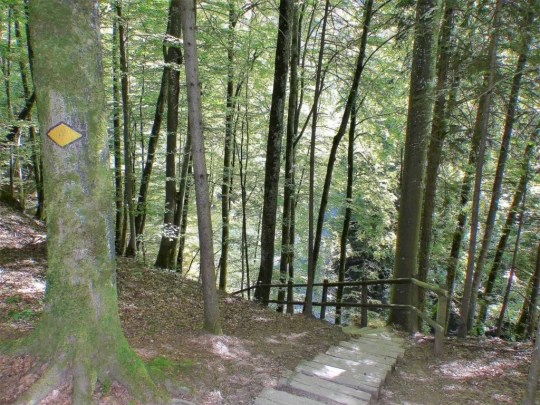 Noiraigue, gorges de l'Areuse, Champ-du-Moulin, restaurant de la Truite, Boudry