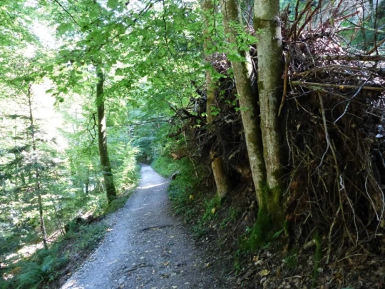 Noiraigue, gorges de l'Areuse, Champ-du-Moulin, restaurant de la Truite, Boudry