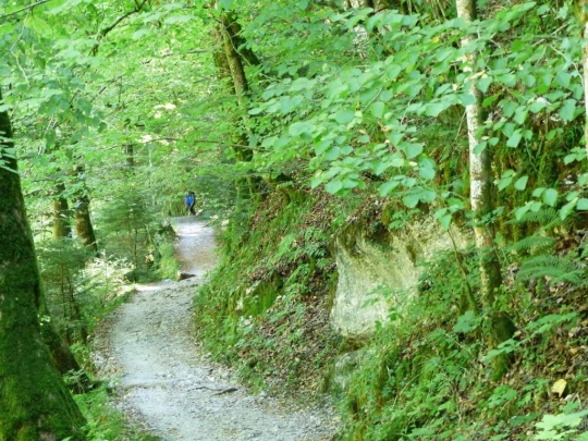 Noiraigue, gorges de l'Areuse, Champ-du-Moulin, restaurant de la Truite, Boudry