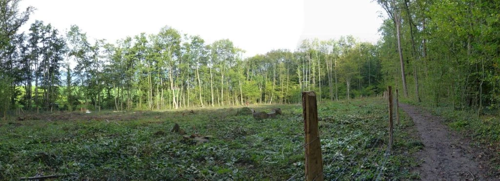 Nyon Bois Bougy Crans-près-Céligny Céligny château de-Bossey Founex Coppet