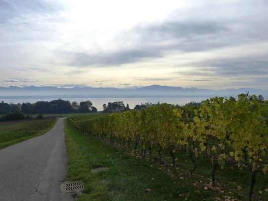 Nyon Bois Bougy Crans-près-Céligny Céligny château de-Bossey Founex Coppet