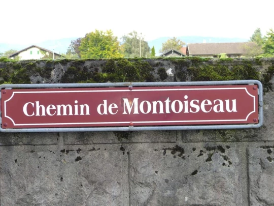 Nyon Bois Bougy Crans-près-Céligny Céligny château de-Bossey Founex Coppet