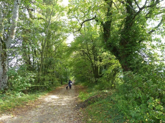 Nyon Bois Bougy Crans-près-Céligny Céligny château de-Bossey Founex Coppet