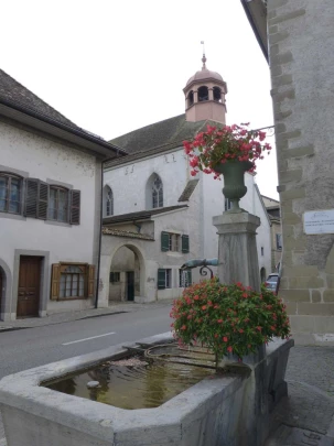 Nyon Bois Bougy Crans-près-Céligny Céligny château de-Bossey Founex Coppet
