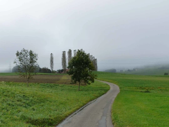 palezieux-chatel-st-denis-104