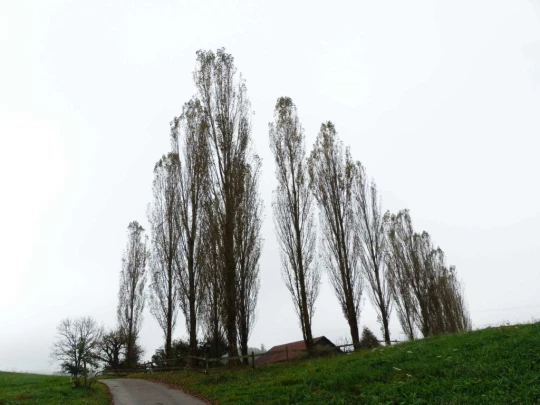 palezieux-chatel-st-denis-105