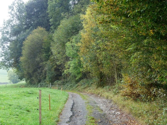 palezieux-chatel-st-denis-106