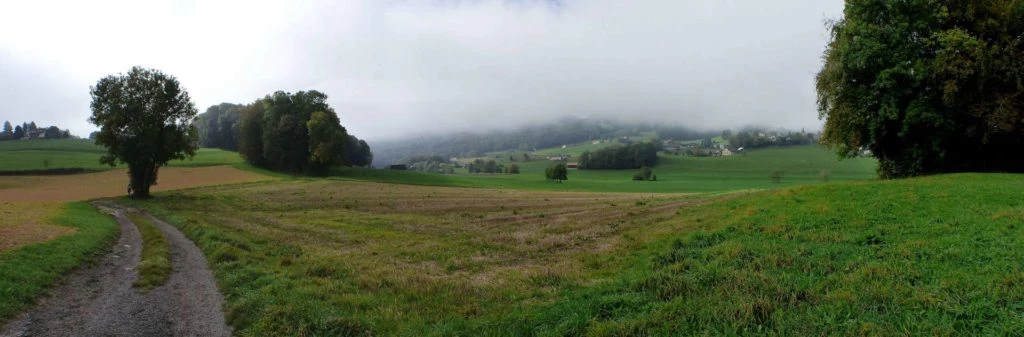 palezieux-chatel-st-denis-108