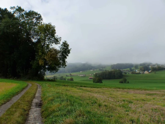 palezieux-chatel-st-denis-109