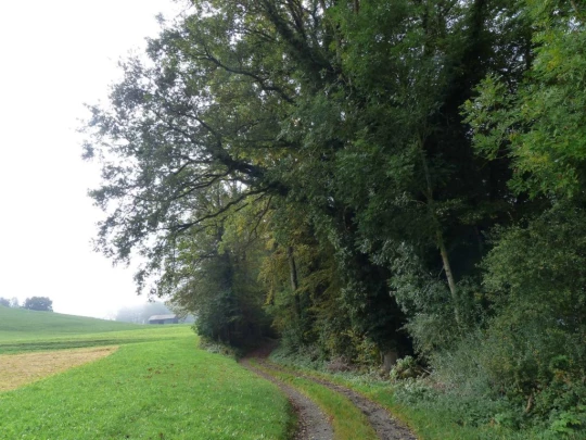 palezieux-chatel-st-denis-110