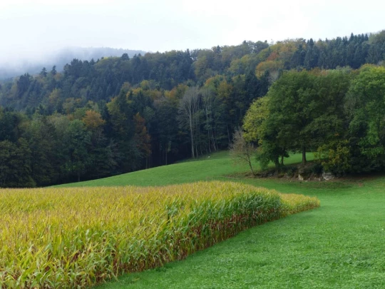 palezieux-chatel-st-denis-117