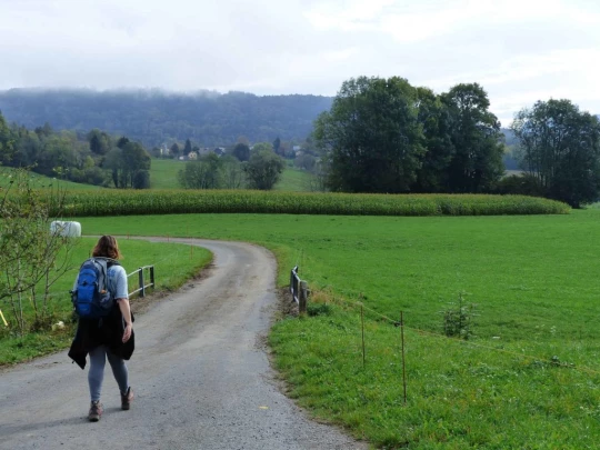 palezieux-chatel-st-denis-120