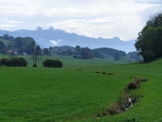 palezieux-chatel-st-denis-121