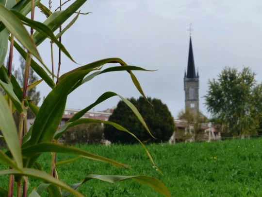 palezieux-chatel-st-denis-122
