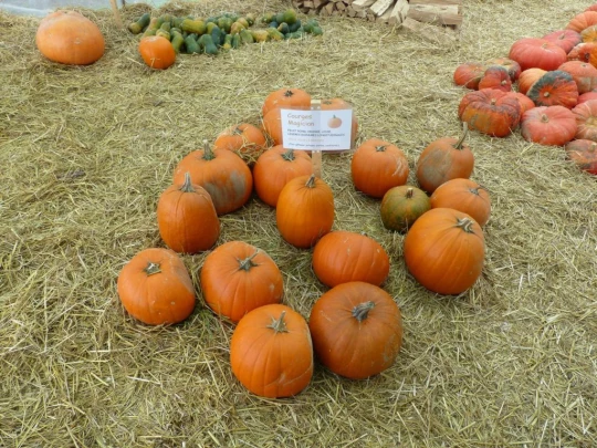 palezieux-chatel-st-denis-129