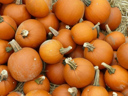 palezieux-chatel-st-denis-136