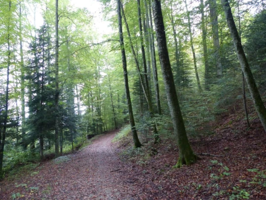 palezieux-chatel-st-denis-145